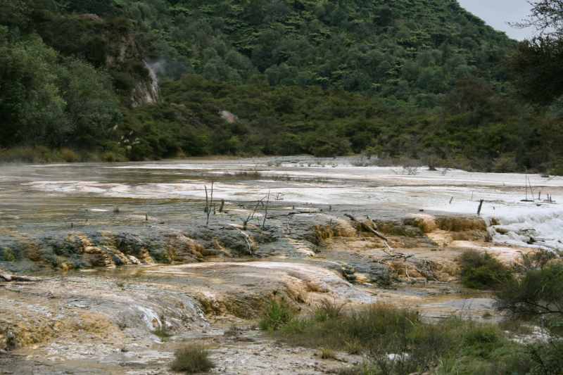 Nieuw-Zeeland 2011 - 0727
